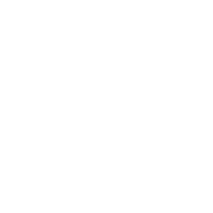 Transit icon